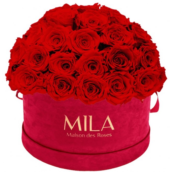 Mila Classique Large Dome Burgundy - Rouge Amour