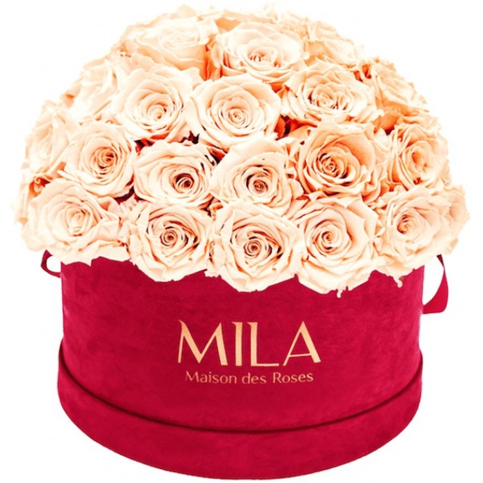 Mila Classique Large Dome Burgundy - Pure Peach