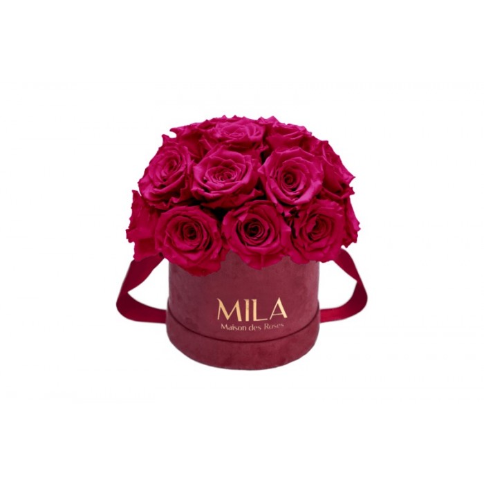 Mila Classique Small Dome