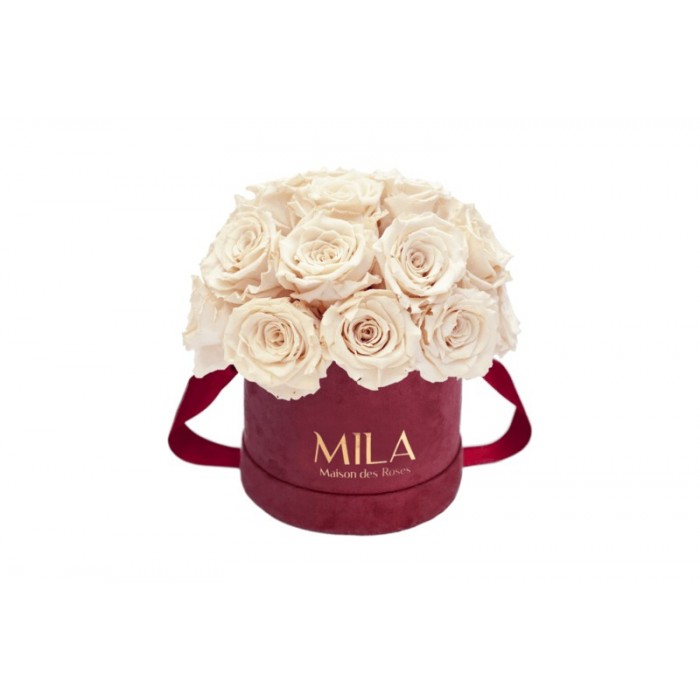 Mila Classique Small Dome Burgundy - Champagne