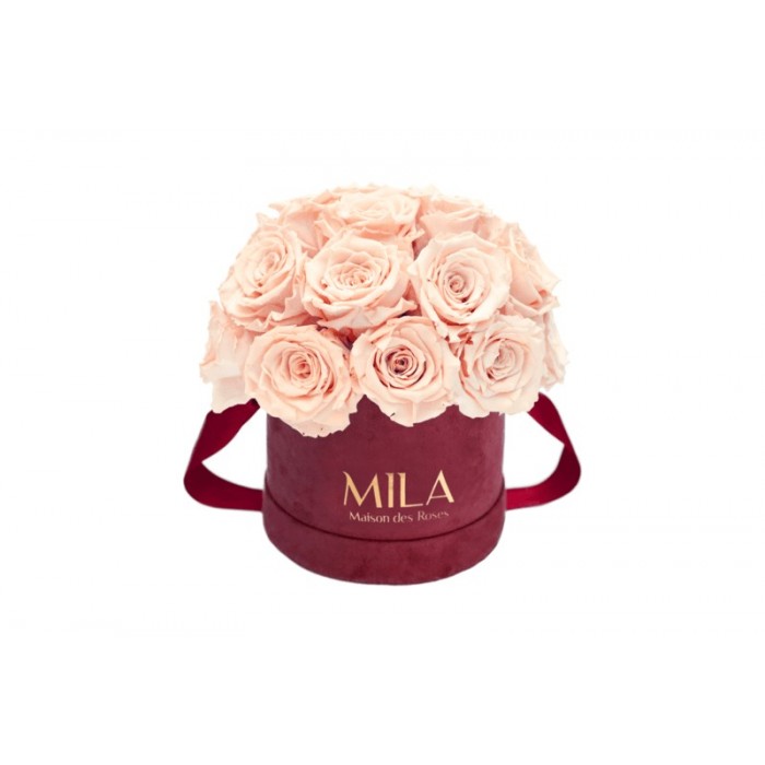 Mila Classique Small Dome Burgundy - Pure Peach