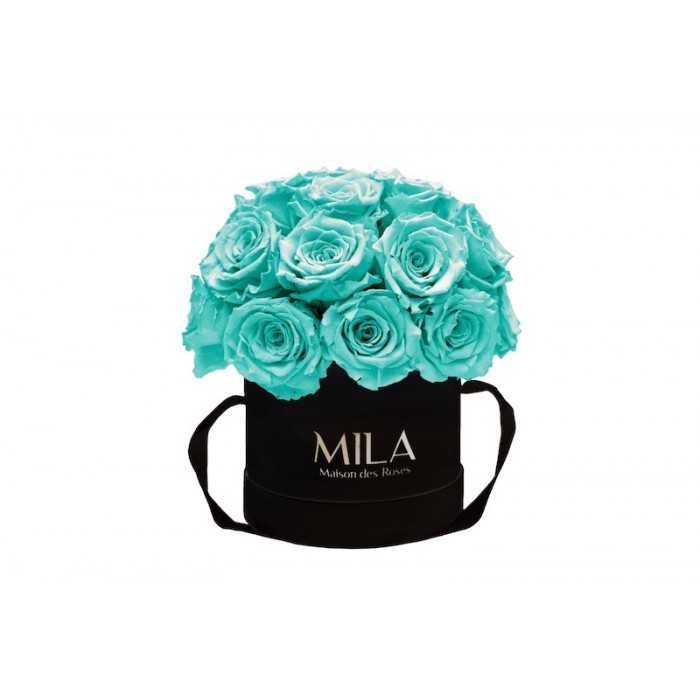 Mila Classique Small Dome Noir Classique - Aquamarine