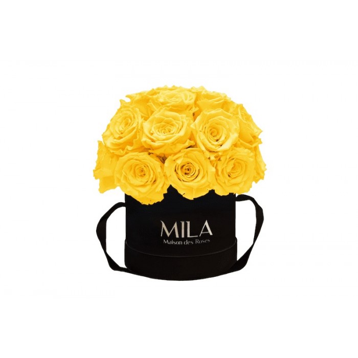 Mila Classique Small Dome Noir Classique - Yellow Sunshine