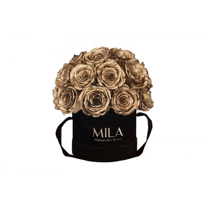 Mila Classique Small Dome Noir Classique - Metallic Gold