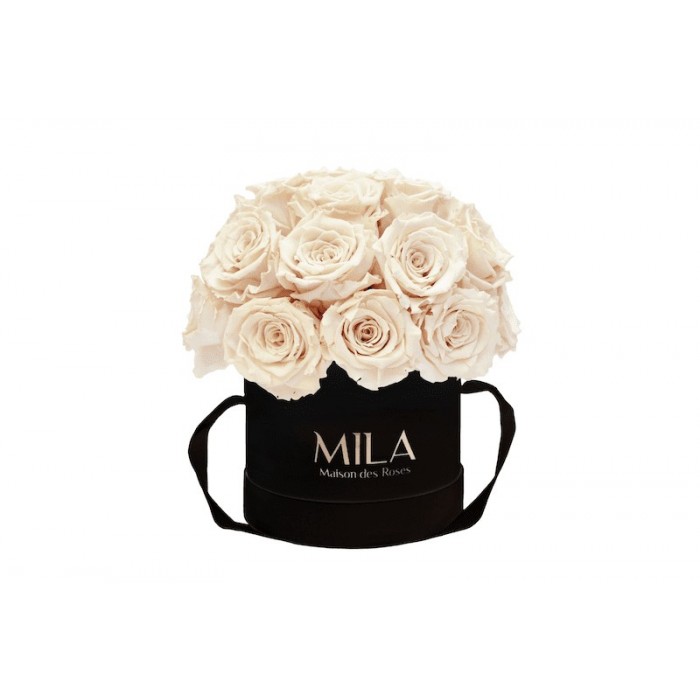 Mila Classique Small Dome Noir Classique - Champagne