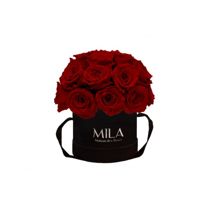 Mila Classique Small Dome Noir Classique - Rubis Rouge