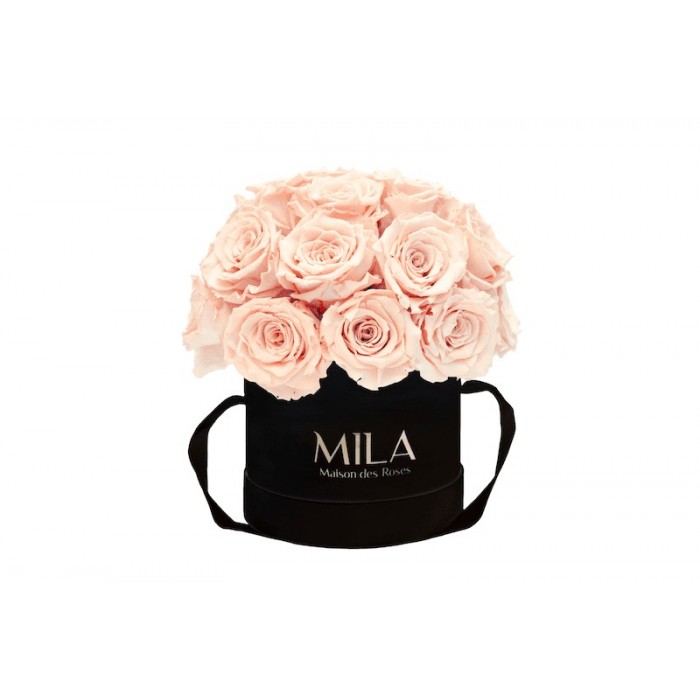 Mila Classique Small Dome Noir Classique - Pure Peach