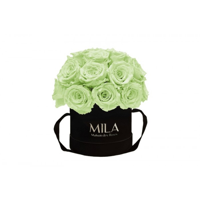 Mila Classique Small Dome Noir Classique - Mint