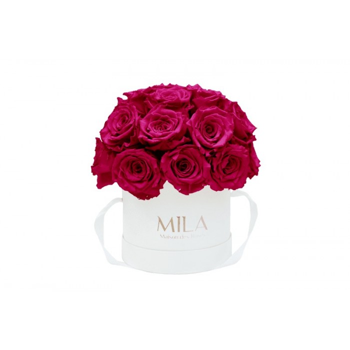 Mila Classique Small Dome