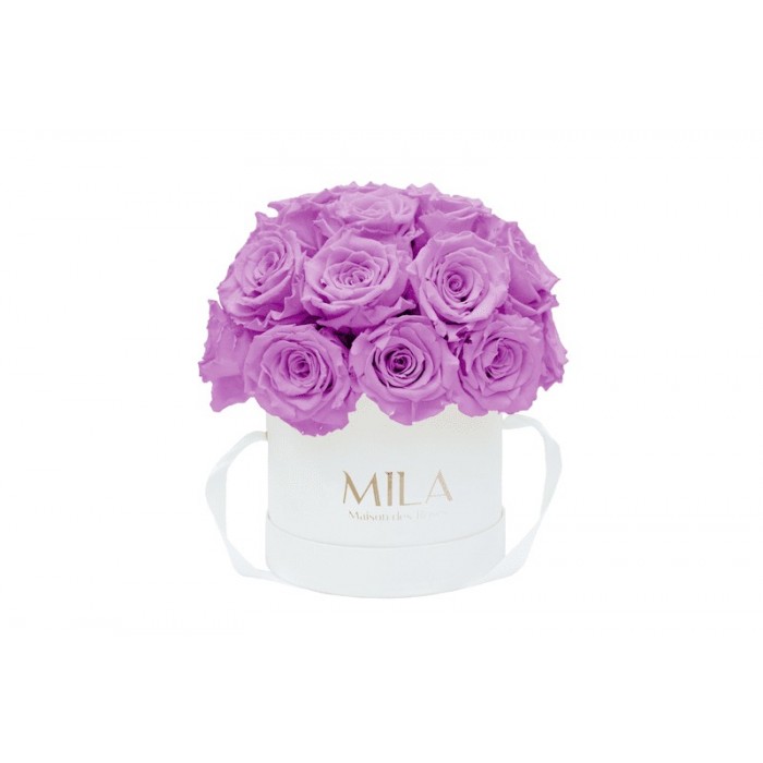 Mila Classique Small Dome Blanc Classique - Mauve