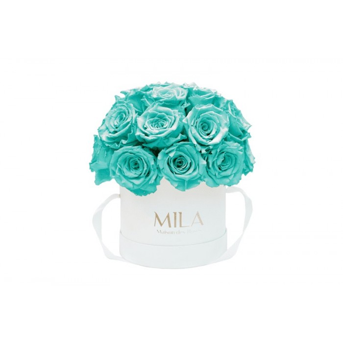 Mila Classique Small Dome Blanc Classique - Aquamarine