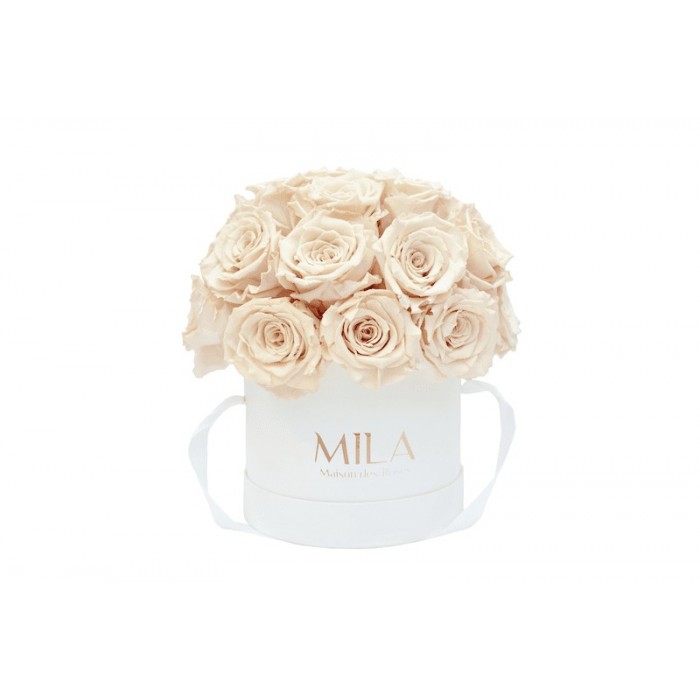 Mila Classique Small Dome Blanc Classique - Champagne