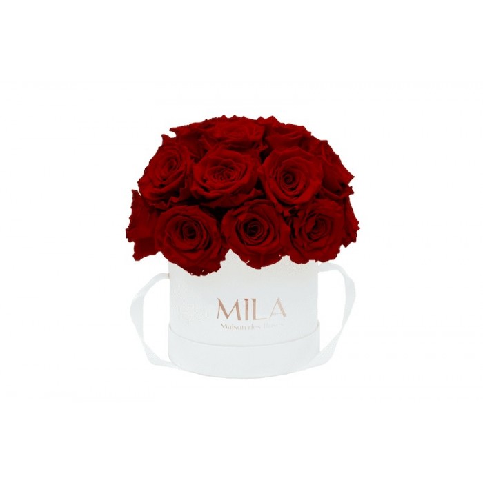 Mila Classique Small Dome Blanc Classique - Rubis Rouge