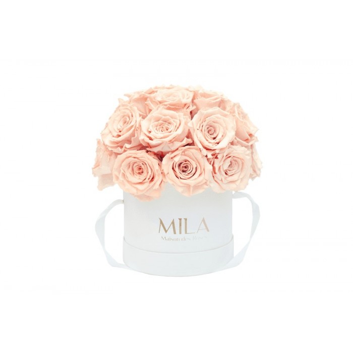 Mila Classique Small Dome Blanc Classique - Pure Peach