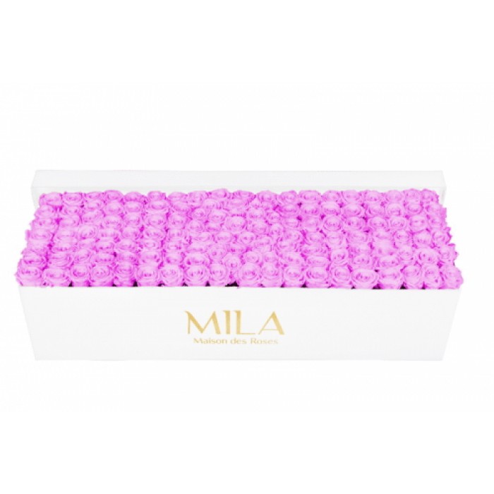 Mila Classique Royale Blanc Classique - Mauve