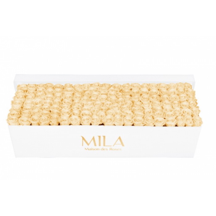 Mila Classique Royale Blanc Classique - Champagne