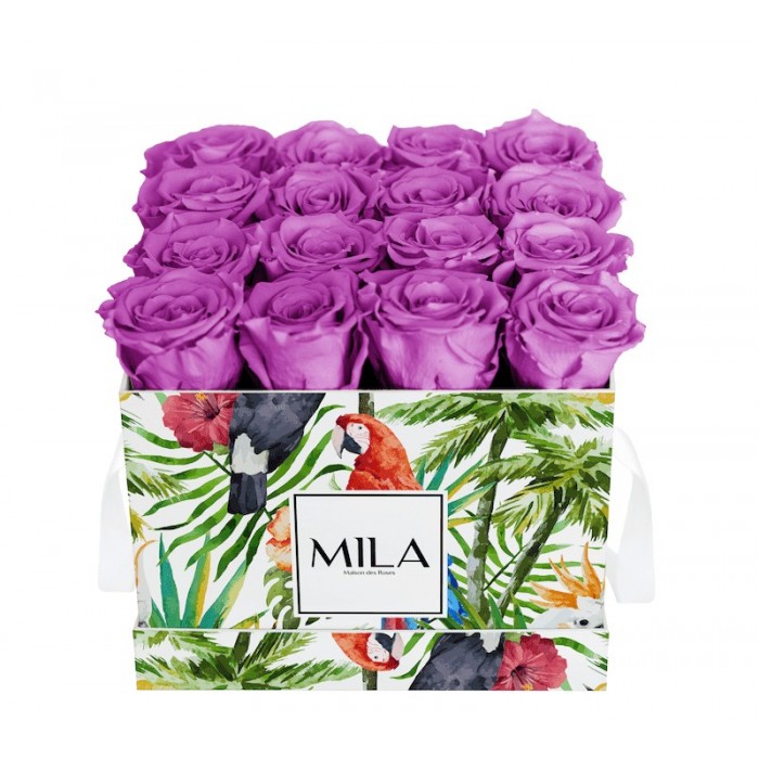 Mila Limited Edition Jungle Medium Medium Jungle - Mauve