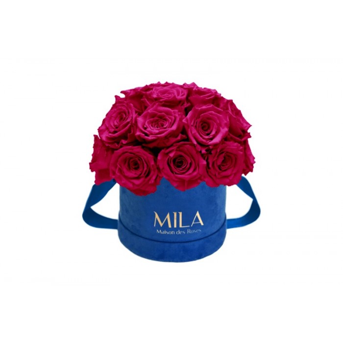 Mila Classique Small Dome Royal Blue Velvet Small - Fuchsia