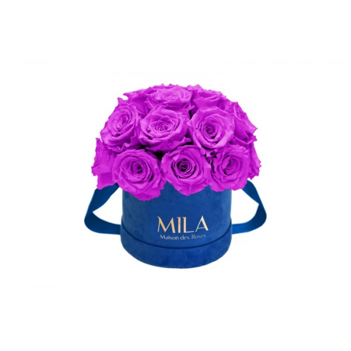 Mila Classique Small Dome Royal Blue Velvet Small - Violin