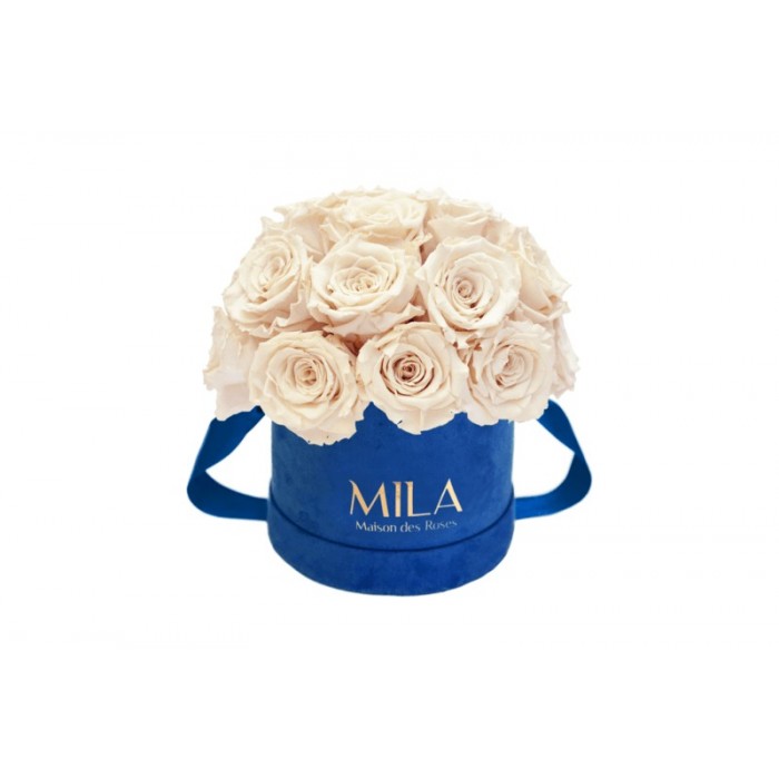 Mila Classique Small Dome Royal Blue Velvet Small - Champagne