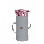  Mila-Roses-01892 Mila Velvet Baby Light Grey Velvet Baby - Metallic Rose Gold