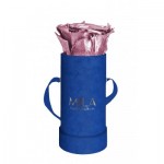  Mila-Roses-01894 Mila Velvet Baby Royal Blue Velvet Baby - Metallic Rose Gold