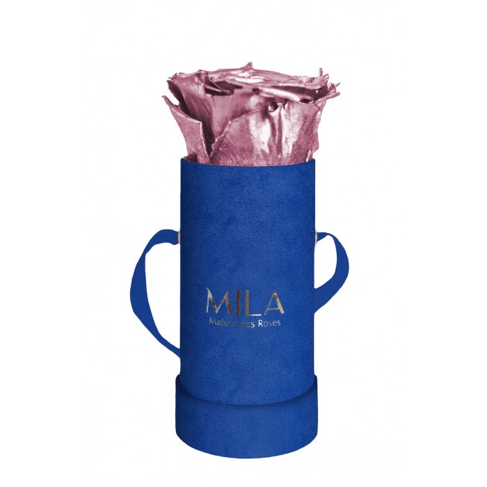 Mila Velvet Baby Royal Blue Velvet Baby - Metallic Rose Gold