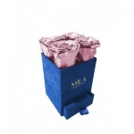  Mila-Roses-01898 Mila Velvet Mini Royal Blue Velvet Mini - Metallic Rose Gold