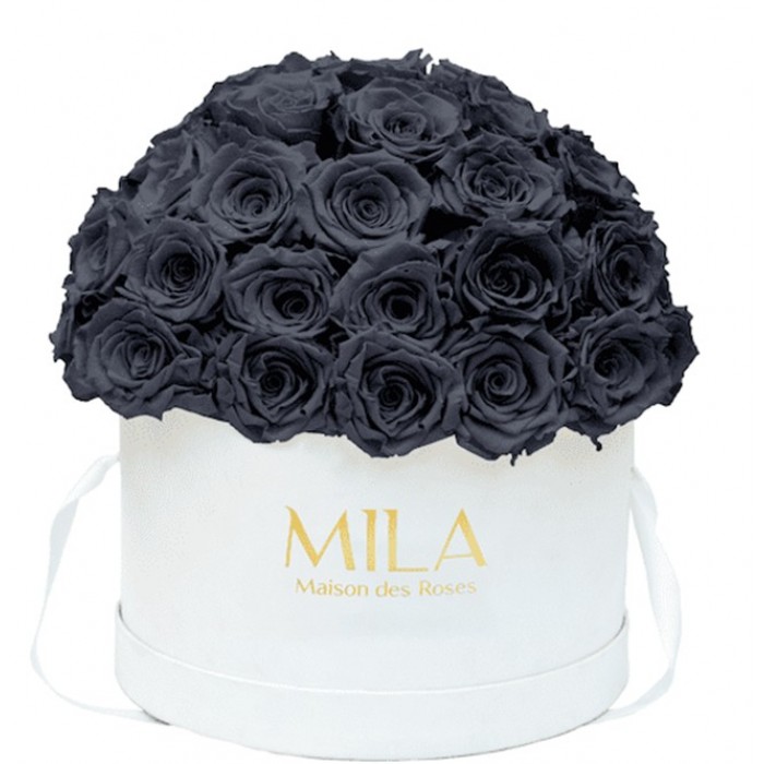 Mila Classique Large Dome Blanc Classique - Grey