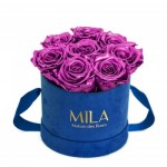  Mila-Roses-02101 Mila Velvet Small Royal Blue Velvet Small - Metallic Pink