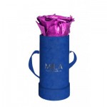  Mila-Roses-02122 Mila Velvet Baby Royal Blue Velvet Baby - Metallic Pink