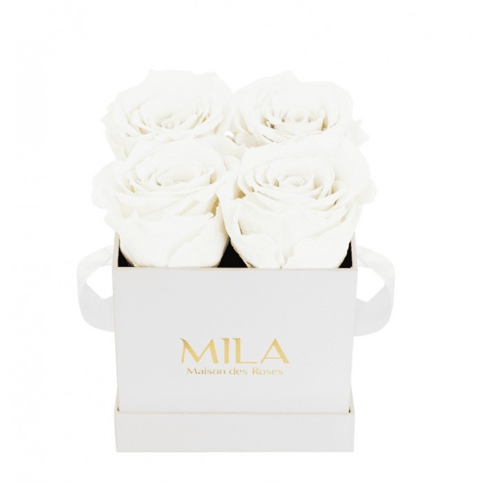 Mila Classique Mini