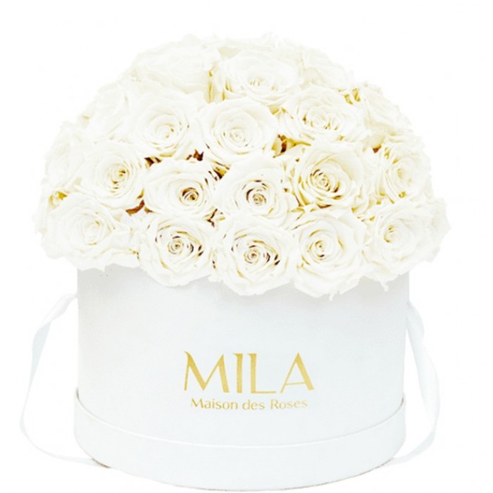 Mila Classique Large Dome Blanc Classique - Pure White