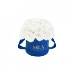  Mila-Roses-02231 Mila Classique Small Dome Royal Blue Velvet Small - Pure White