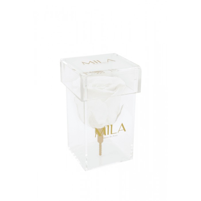 Mila Acrylic Single Stem