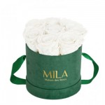  Mila-Roses-02259 Mila Velvet Small Emeraude Velvet Small - Pure White