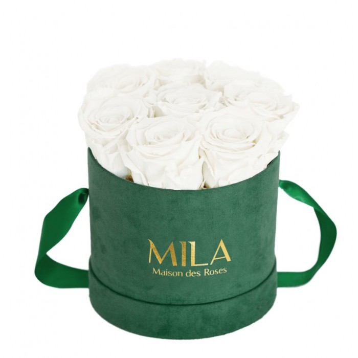 Mila Velvet Small Emeraude Velvet Small - Pure White