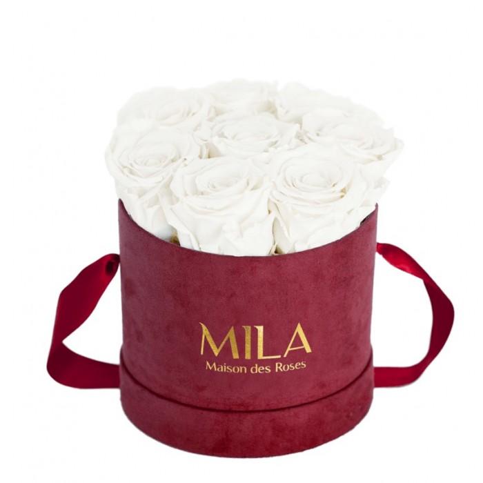 Mila Velvet Small Burgundy Velvet Small - Pure White