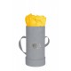 Mila Velvet Baby Light Grey Velvet Baby - Yellow Sunshine