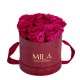 Mila Velvet Small Burgundy Velvet Small - Fuchsia