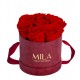 Mila Velvet Small Burgundy Velvet Small - Rouge Amour