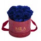 Mila Velvet Small Burgundy Velvet Small - Royal blue