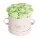 Mila Velvet Small Nude Velvet Small - Mint