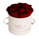 Mila Velvet Small Nude Velvet Small - Rubis Rouge