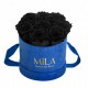 Mila Velvet Small Royal Blue Velvet Small - Black Velvet