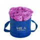 Mila Velvet Small Royal Blue Velvet Small - Mauve