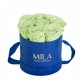 Mila Velvet Small Royal Blue Velvet Small - Mint