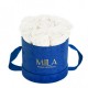 Mila Velvet Small Royal Blue Velvet Small - Pure White