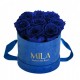 Mila Velvet Small Royal Blue Velvet Small - Royal blue